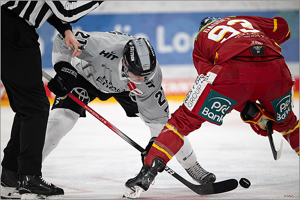 PENNY DEL 1; Düsseldorfer EG - Kölner Haie; Düsseldorf, 24.01.2025